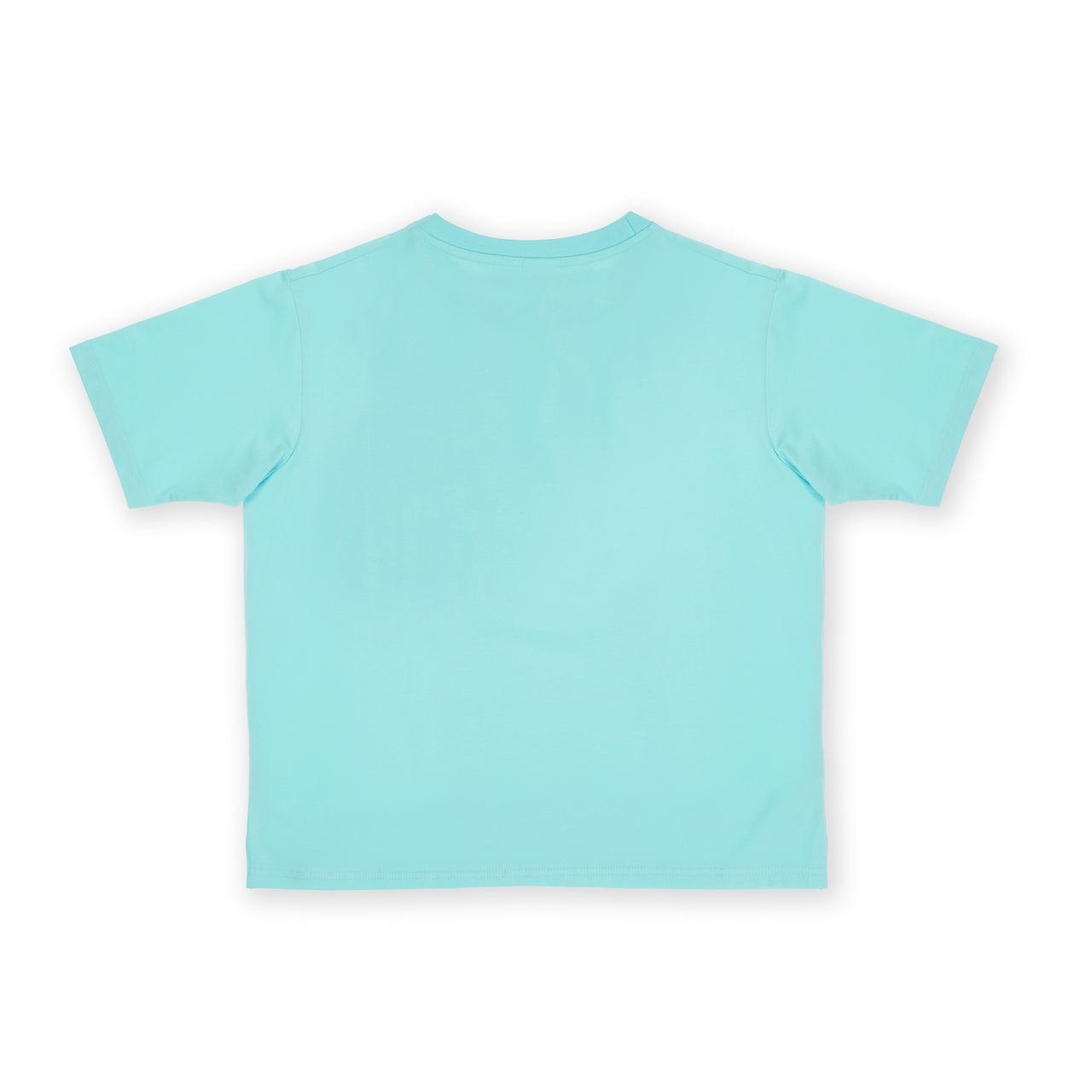 PASTEL MINT - T Shirt Babes